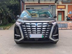 Denza BYD Denza D9 2022 DM-i 1040 Premium - ფოტო 2