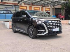 Denza BYD Denza D9 2022 DM-i 1040 Premium - ფოტო 3