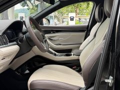 BYD Song Plus New Energy 2025 DM-i 160KM Premier Plus - ფოტო 4