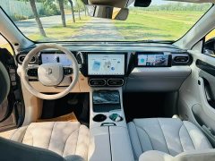 Leapmotor C11 2021 Executive 610 - ფოტო 6