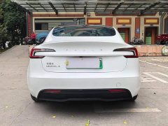 Tesla Model 3 Rear-Wheel Drive - ფოტო 14