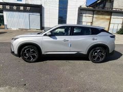 Dongfeng Fengshen L8Y 535KM Excellence Edition - ფოტო 6