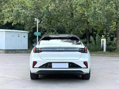 Zeekr Geely Zeekr 001 ME Edition 100kWh AWD - ფოტო 8