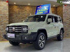 Tank 300 City Edition 2.0T Stylish - ფოტო 1