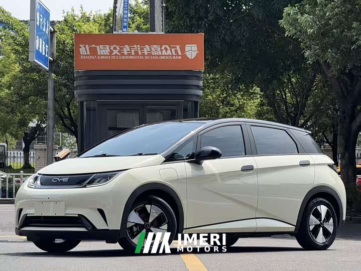 BYD Dolphin 420km Fashion Edition - ავტომობილი ჩინეთიდან