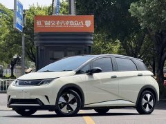 BYD Dolphin 420km Fashion Edition - ფოტო 1