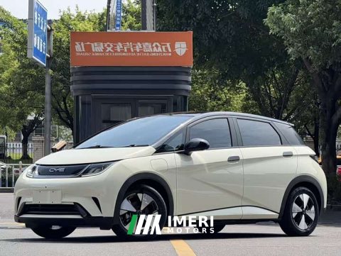 2023 BYD Dolphin 420km Fashion Edition - ავტომობილი ჩინეთიდან