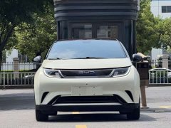 BYD Dolphin 420km Fashion Edition - ფოტო 2