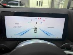 FAW Red Flag HS3 PHEV 2024 115km Dynamic Edition - ფოტო 10