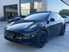 Tesla Model Y Standard Range RWD - ფოტო 1
