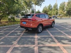 Haval H6 2021 National Trend 1.5T Automatic Champion Edition - ფოტო 5