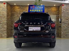 Haval Big Dog PLUS 2.0T AWD Trendy Wilderness Plus - ფოტო 4