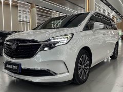Buick GL8 ES Land Respect 653T Luxury - ფოტო 1