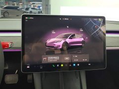 Tesla Model 3 Rear-Wheel Drive - ფოტო 14