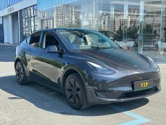 Tesla Model Y Rear-Wheel Drive - ფოტო 3