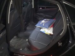 Volkswagen Passat 330TSI Starry Sky Elite - ფოტო 11