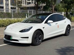 Tesla Model 3 Rear-Wheel Drive - ფოტო 1