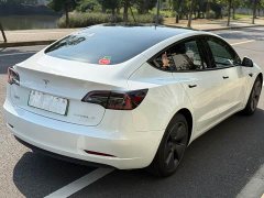 Tesla Model 3 Rear-Wheel Drive - ფოტო 6