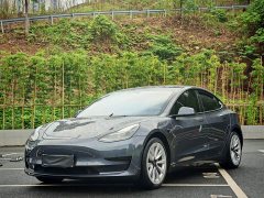 Tesla Model 3 Rear-Wheel Drive - ფოტო 1