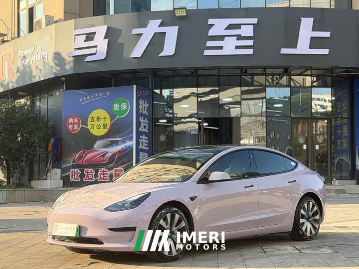 Tesla Model 3 Rear-Wheel Drive