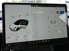 Tesla Model 3 Facelift Standard Range RWD Upgrade 3D1 - ფოტო 8