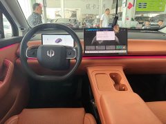 Leapmotor Leapo C16 Extended Range 200 Deluxe Edition - ფოტო 11