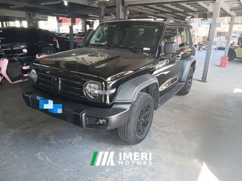 2022 Tank 300 2021 Off-Road Edition 2.0T Conqueror - ავტომობილი ჩინეთიდან