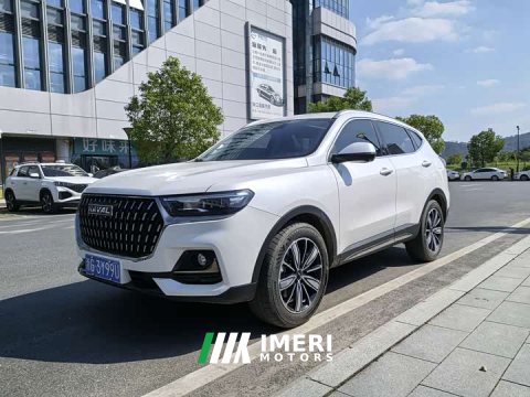 2024 Haval H6 2023 National Trend Edition 1.5T Automatic Champion Version - ავტომობილი ჩინეთიდან