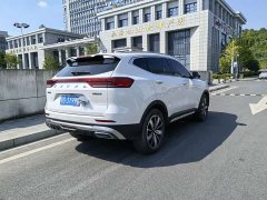 Haval H6 2023 National Trend Edition 1.5T Automatic Champion Version - ფოტო 8