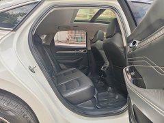 Geely Xingrui 2.0T Diesel Luxury - ფოტო 10