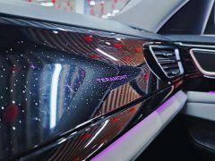Volkswagen Teramont 380TSI AWD Dragon Prestige Edition - ფოტო 13