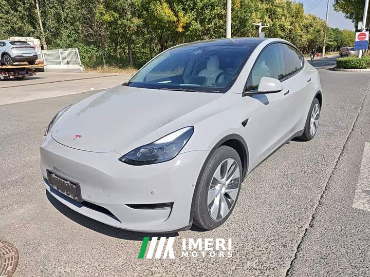 Tesla Model Y Standard Range RWD - ავტომობილი ჩინეთიდან
