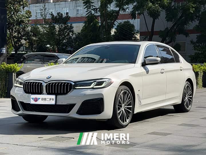 BMW 5 Series 530Li Premier M Sport Package - ავტომობილი ჩინეთიდან