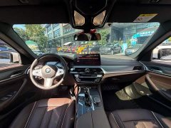 BMW 5 Series 530Li Premier M Sport Package - ფოტო 13