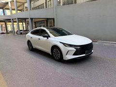 BYD Destroyer 05 Glory Edition DM-i 55KM Luxury - ფოტო 3