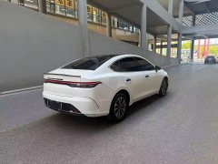 BYD Destroyer 05 Glory Edition DM-i 55KM Luxury - ფოტო 6