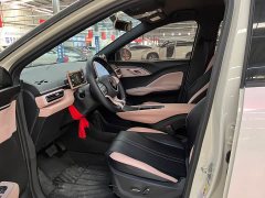 BYD Seagull Glory Edition 405km Flying Edition - ფოტო 3