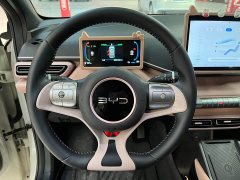 BYD Seagull Glory Edition 405km Flying Edition - ფოტო 4