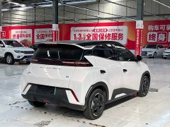BYD Seagull Glory Edition 405km Flying Edition - ფოტო 9