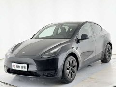 Tesla Model Y Rear-Wheel Drive - ფოტო 1
