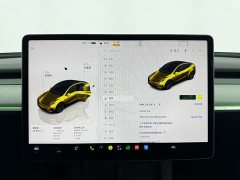 Tesla Model Y Rear-Wheel Drive - ფოტო 12