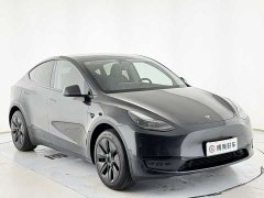 Tesla Model Y Rear-Wheel Drive - ფოტო 3