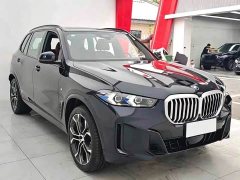 BMW X5 xDrive 40Li M Sport Midnight Edition Package - ფოტო 3