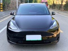 Tesla Model Y Rear-Wheel Drive - ფოტო 2