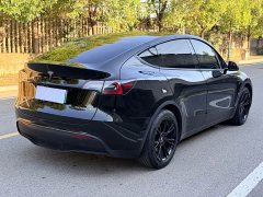 Tesla Model Y Rear-Wheel Drive - ფოტო 4