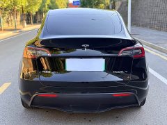 Tesla Model Y Rear-Wheel Drive - ფოტო 5