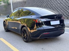 Tesla Model Y Rear-Wheel Drive - ფოტო 6