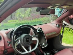 McLaren GT 2019 4.0T Standard - ფოტო 4