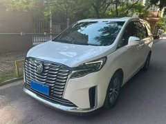 Buick GL8 ES Luxe 653T Prestige - ფოტო 1
