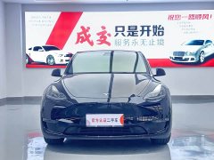 Tesla Model Y Rear-Wheel Drive - ფოტო 2